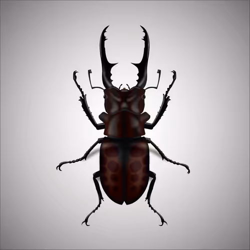 Item #15006194083360452165747859706250248338064014496976576965207408537378131804161 Media