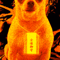 Sunn Dogg