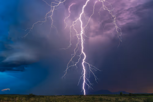 Item #95204431680649181601528738578851453896688564435428028381601595470051903799297 Media