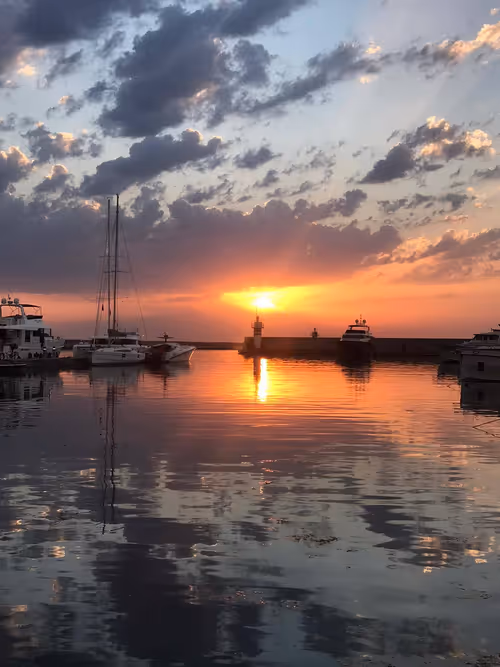 Item #68021680421370609917971695803708180506045537231368972803899735125207860379649 Media