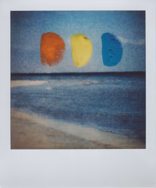 Item #24326241123829317612575481076654588048971431534812965985339390041495651221505 Media