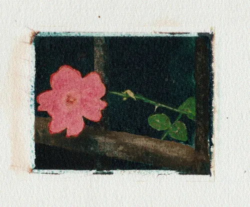 Item #28642289610413535734296160925975093096558758870368473952224142151237716934657 Media