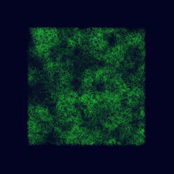 12032733712256437664215437925069129638151898554142308319368358894949403459585