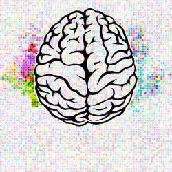 Brain#106