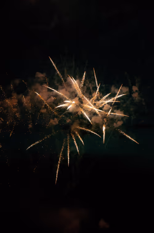 Item #53066580447893182690859255571300366451776015640198026771655436632514719907841 Media