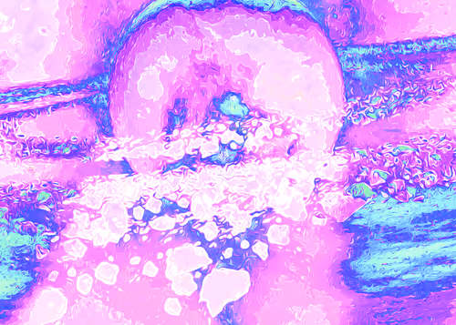 Item #85759807774714586460720651753290315813953651366721325870556511167085667155969 Media