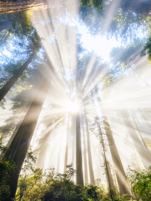 Item #99379921276153973634104125152908526548510783699959858376338453559011430105089 Media