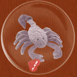 41776025324002017952572422073316458441069080831023694546850786709882617724929