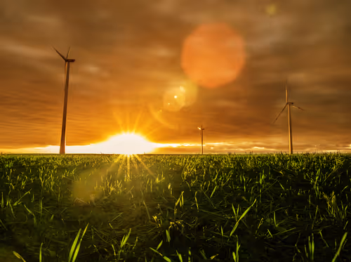 Item #12333759371985289416686528618250941787801478820548931806244366502029367967745 Media