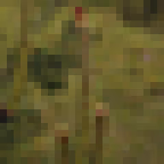 24px Plant #18