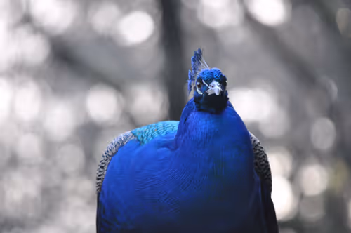 Item #106870078454534698311606461225664382982354268042883800261475775689212385296385 Media