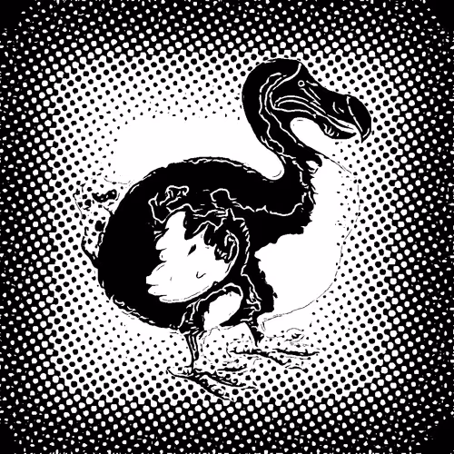 Item #17635803375648012338610213380030160191715370757553255260744606441495089643521 Media