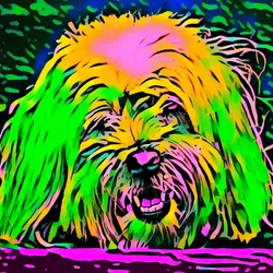 50830097462543580601473563981388698009005024090223633461481089602934437576705