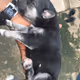 Crypto_cat_lover Collection
