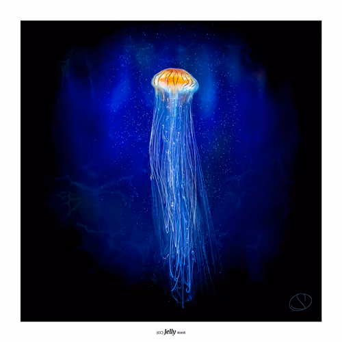 (CC) #008 / Jelly