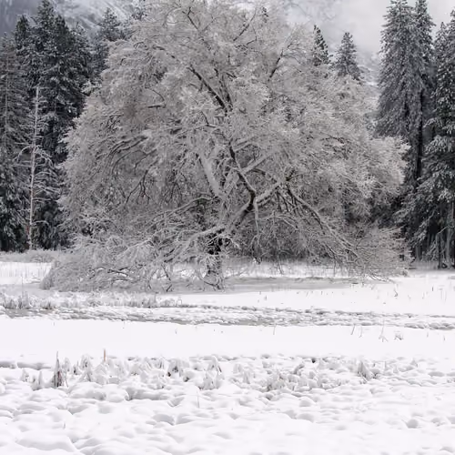 Winter Burden