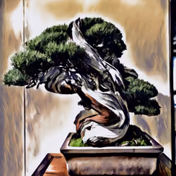 Wabi-Sabi "Bonsai”#000