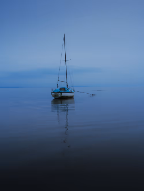 Item #96661707284894299444635219906598425654694917167299737376541026862679908679690 Media