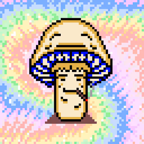 Mushii Collector Customs