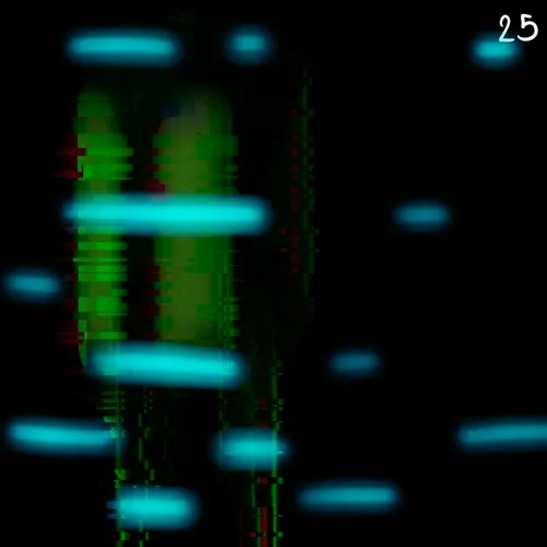 39822013810558068477296385179518912044277869871125536243820929672477751115777