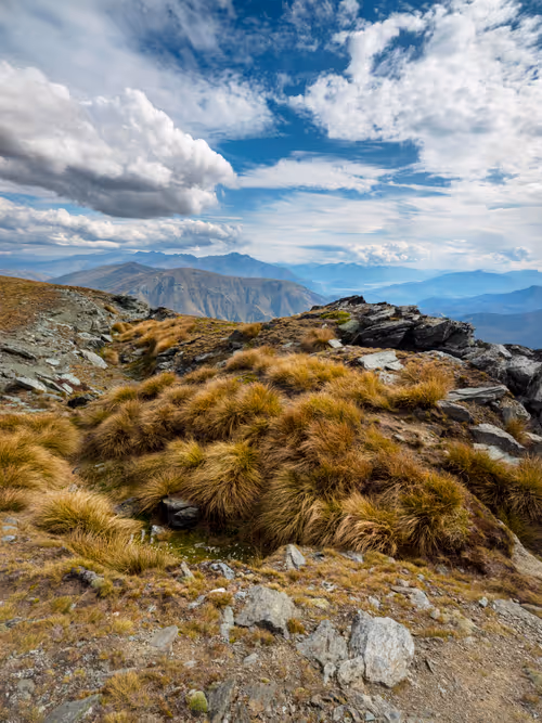 Item #113391420929209941219598099572508675076097289829558384042967581984482882748417 Media