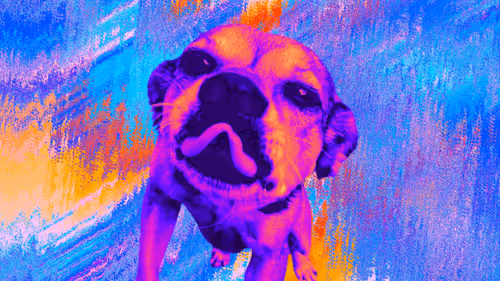 Item #829307339980814643017173105251279538688460075823702380225486206641694048257 Media