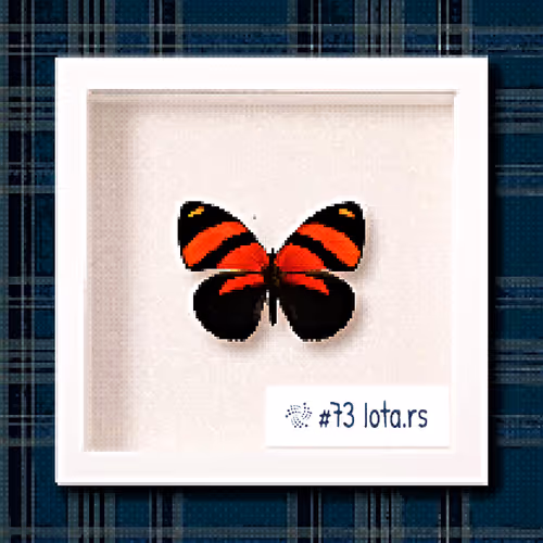 Item #2789607291071995738164880481125140258345785270878309300203345414502121209857 Media