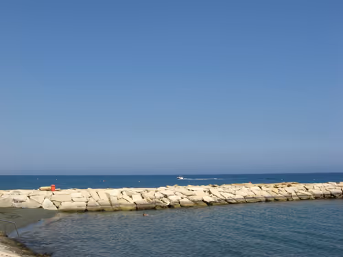 Item #49780404214023394125628081485635193078207366864253774489702248311415426252801 Media