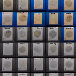 May23 MMFAM Research Reports