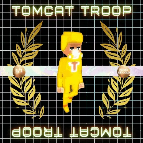 Tomcat Troop