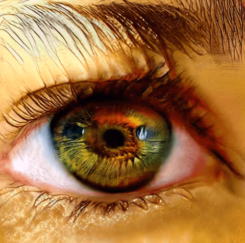 Item #73500473601639277492783536232978387069951164458626547516930003808056940429313 Media