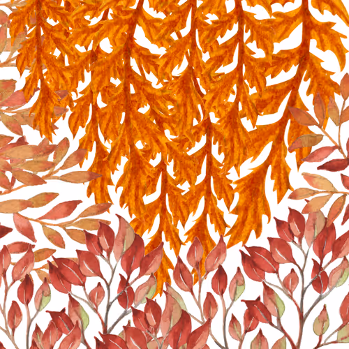 Item #44774762337668537642205640678235127653662757933255340155095354918045241835521 Media