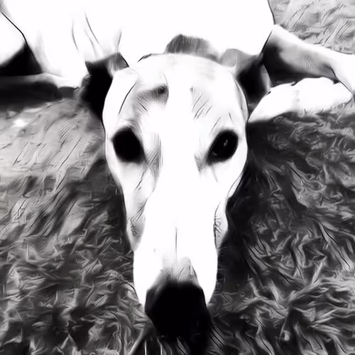 Item #113233535435930126246803406212525192330824104616936385021501681249591037526017 Media