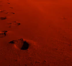 Life on Mars 