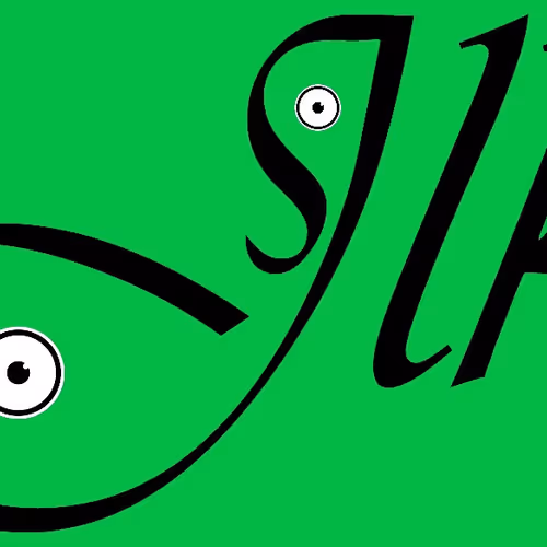 Untitled Collection #230235020