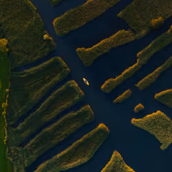 Bird's eye view #39