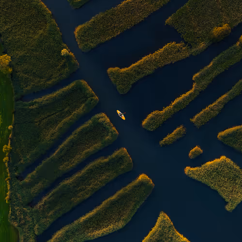 Bird's eye view #39