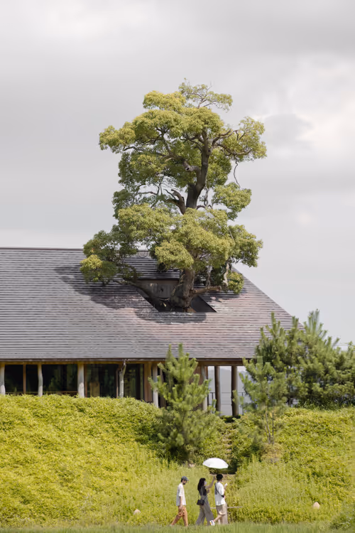 Item #71999170645344517503323936946378052105348448791165031614100394265812450410497 Media