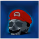 69648386924171430442069745659610269304138362642123106729646640094231880794113