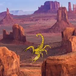 Scorpion King at the Valley 
