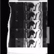 51455746275707873409104167778076321366236200408090755276904321193887213289473