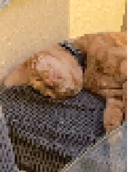 Item #106639922439189085273497079915462977242365079744211956217628601669561226362881 Media