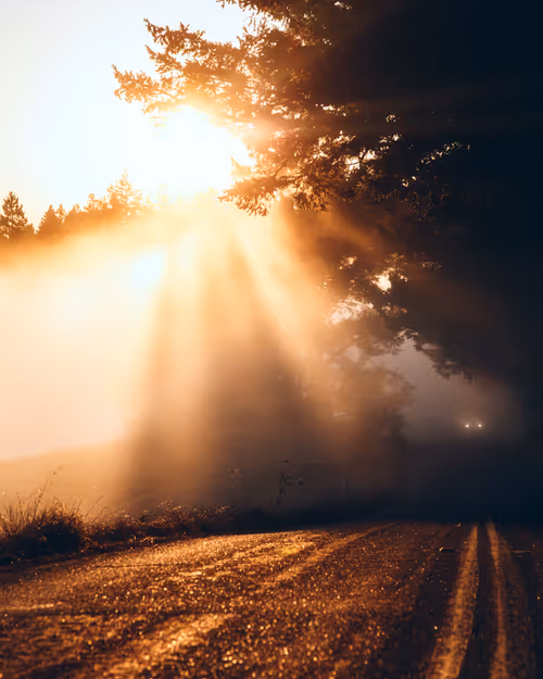 Item #99379921276153973634104125152908526548510783699959858376338453564508988243969 Media