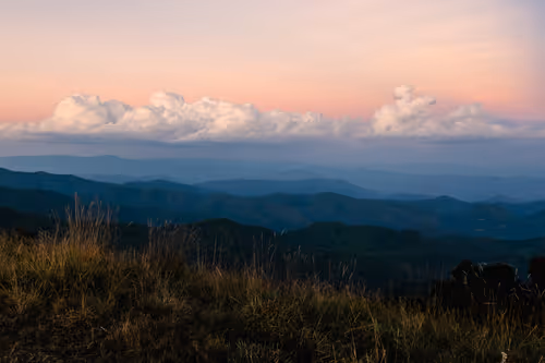 Item #19933179109955283826433224080904721000141254705246350990060094045019963392001 Media