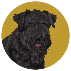 54766349128176429303044182404049584425310907481653304317570414039783983546369