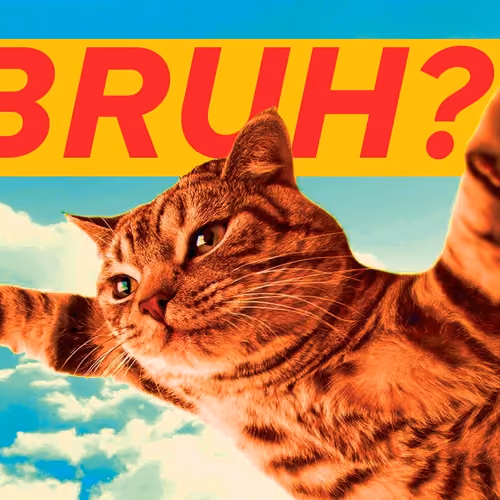 Kitty Goes To Heaven