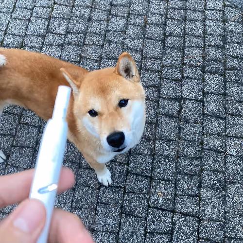 Untitled Collection #2697487