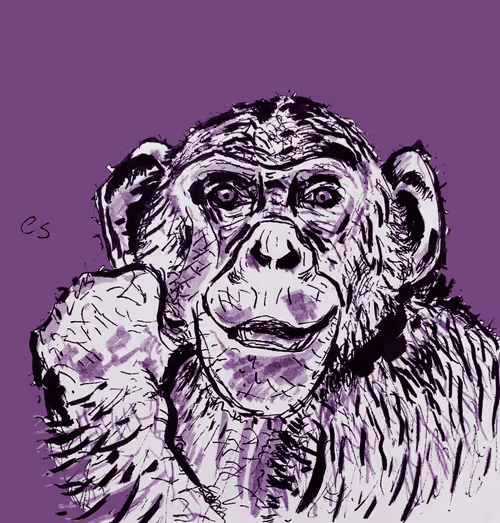 Item #39091703505809475788956350880894769302011138939225893693019847048672627916801 Media