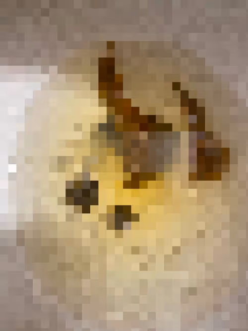 Item #2850415134272365380187775685678842410458265265709128331682257643714723708929 Media