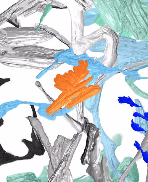 Item #45780721963660682785558958517893066827979384183424857842453670620482538307585 Media